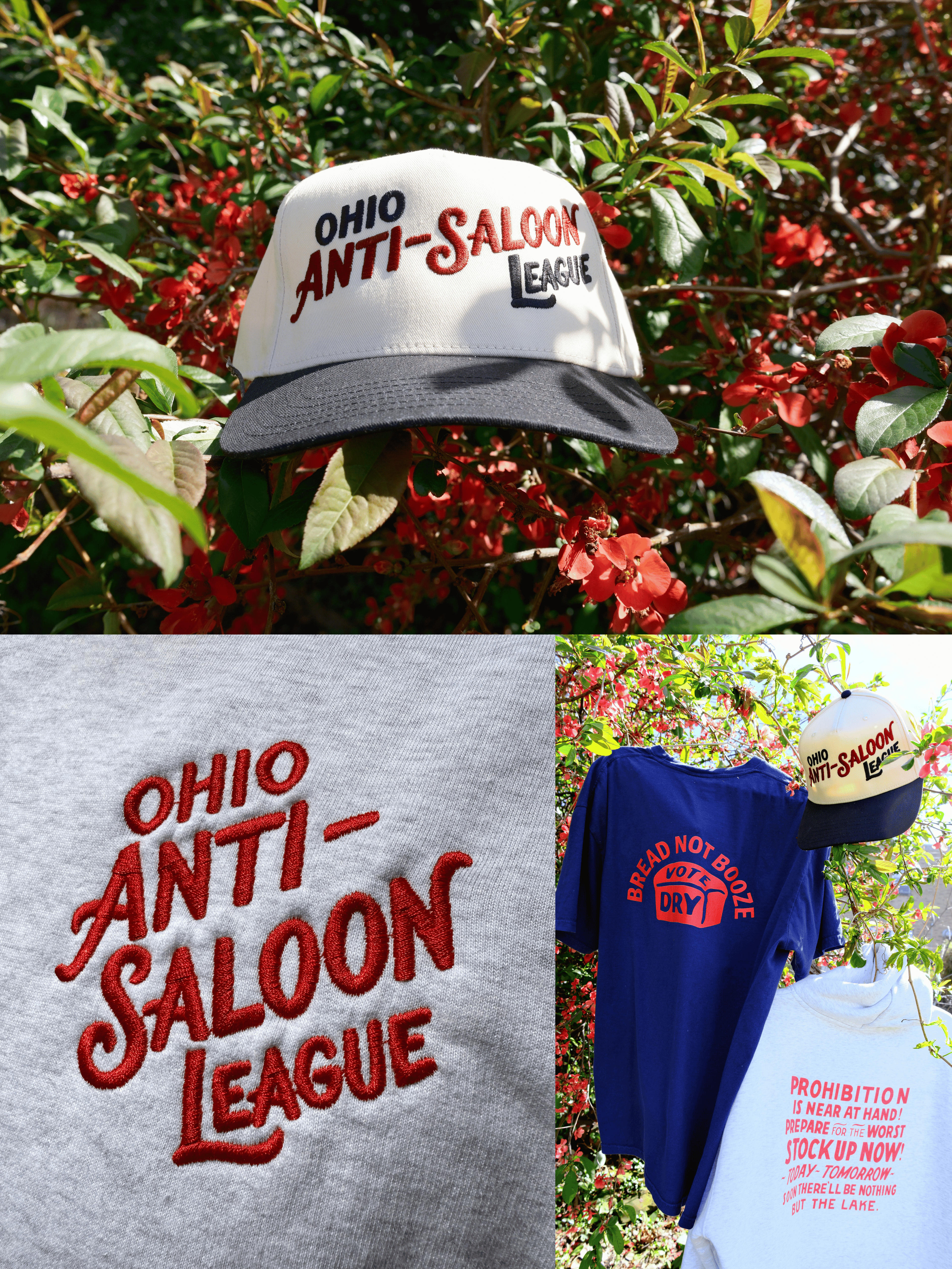 Ohio Anti-Saloon League Collection Collage