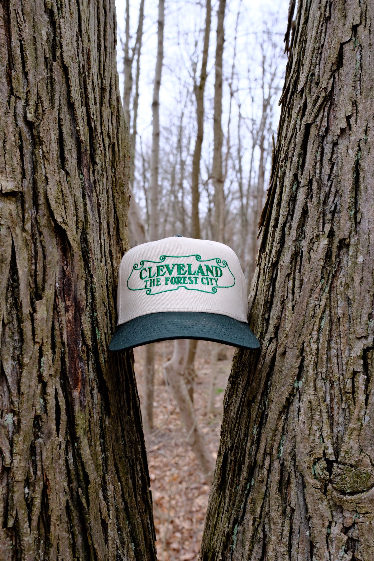 Cleveland The Forest City Cap