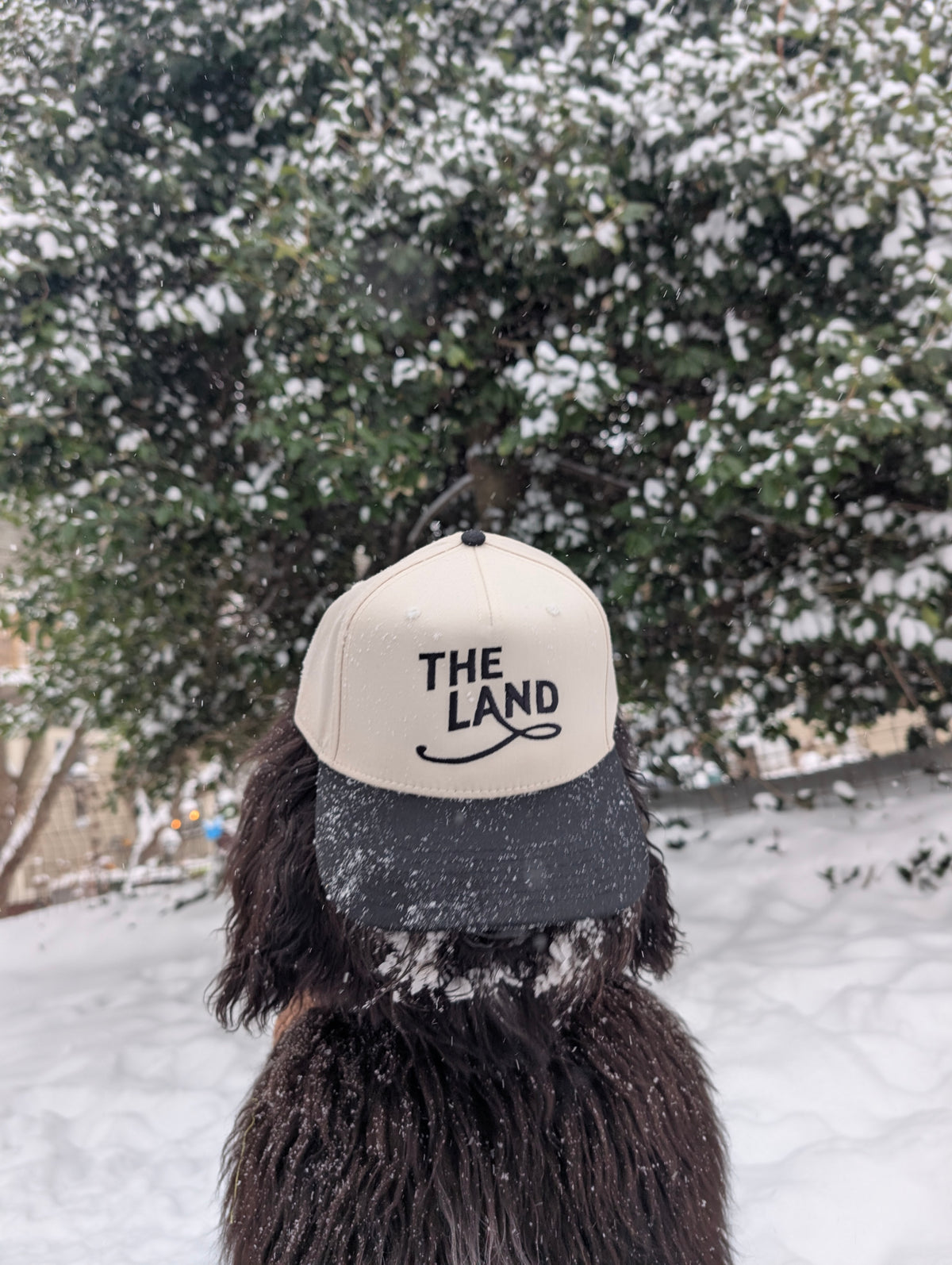 The Land Cap