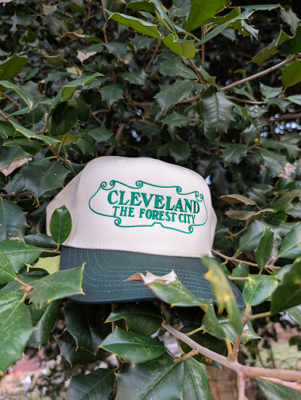 Cleveland The Forest City Cap