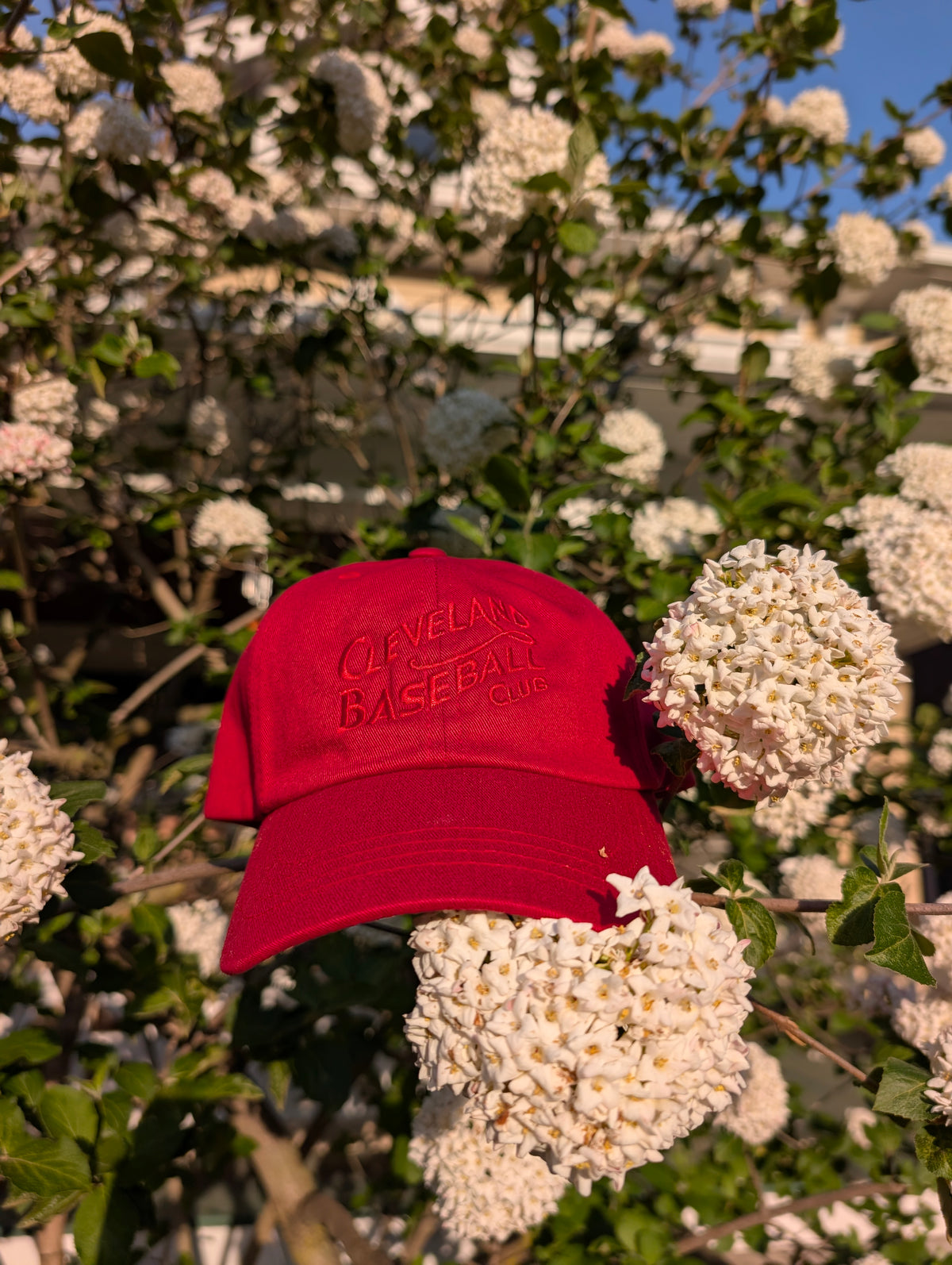 1908 Cleveland Baseball Club Dad Cap